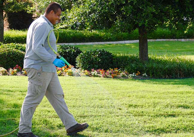 Seasonal Weed Control Tips for a Healthier, Weed-Free Lawn