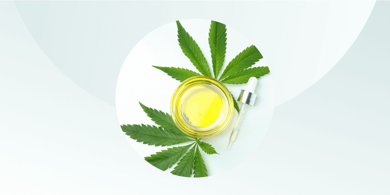 Discover the Best Weed Shop Near Me – Popup CNX Thailand