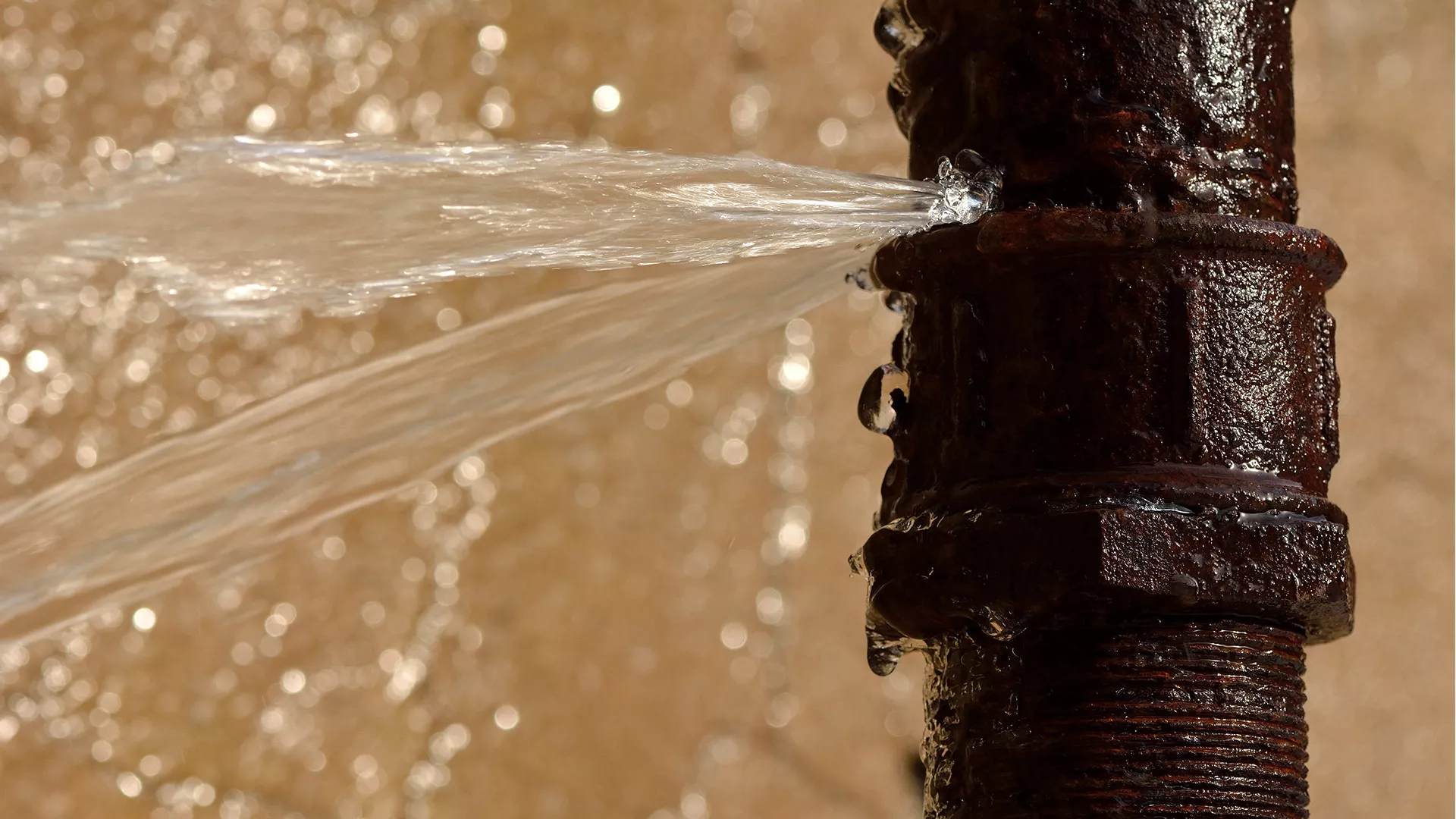 Affordable Backflow Repair Durham Solutions with Durham Plumbing