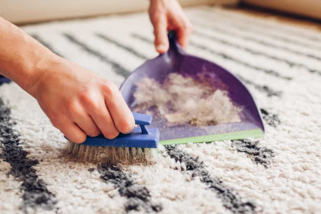 Carpet Cleaning Dubai: Dubai’s Trusted Carpet Cleaning Specialists